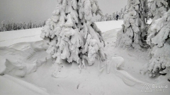 IMG_20190104_151755