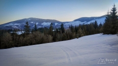 IMG_20190216_074209_HDR