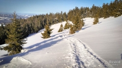 IMG_20190216_085043_HDR