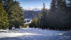 IMG_20190216_112409_HDR