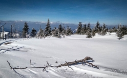 IMG_20190306_112924