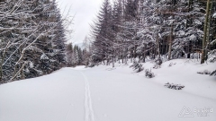 IMG_20190312_091602
