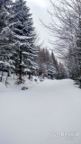 IMG_20190312_091608