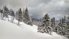 IMG_20190312_120907