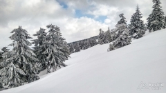 IMG_20190312_133347