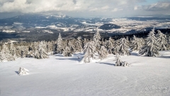 IMG_20190312_144553