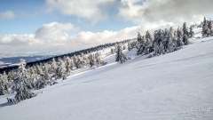 IMG_20190312_144557