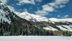 IMG_20190320_094918