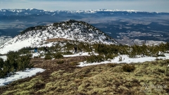 IMG_20190330_101246