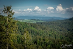 DSC8507
