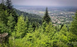 IMG_20190615_125958