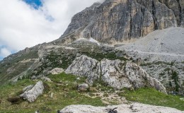 img_0051