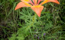 img_0056
