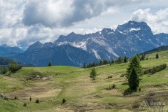 img_0054