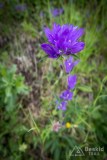 img_0057