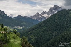 img_0060