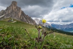 img_0071