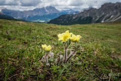 img_0072