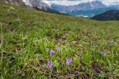 img_0073