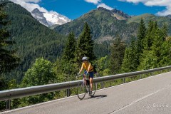 img_0082