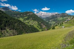 img_0083