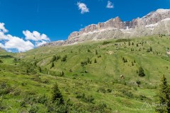 img_0090