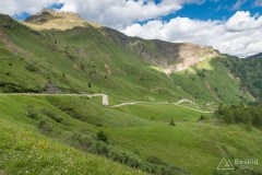img_0118