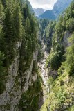 img_0121