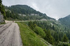img_0139