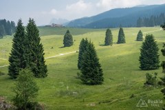 img_0151
