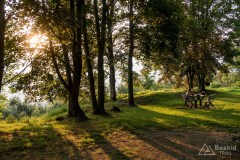 img_0162