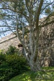 img_0183