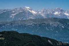 img_0198