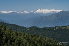 img_0199