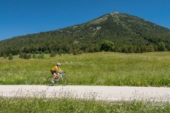 img_0201