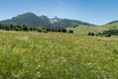 img_0202