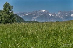 img_0205