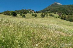 img_0211