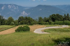 img_0215