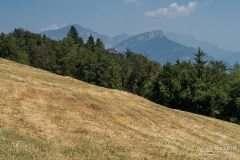 img_0225