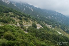 img_0238