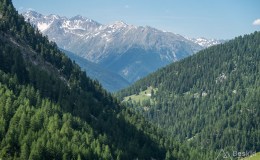 img_0307