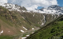 img_0312