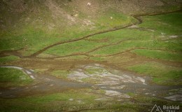 img_0314