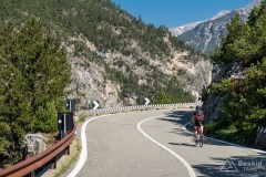 img_0255