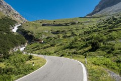 img_0259