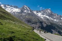 img_0260