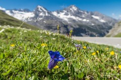 img_0263