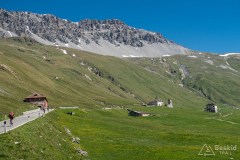 img_0268