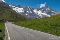 img_0269